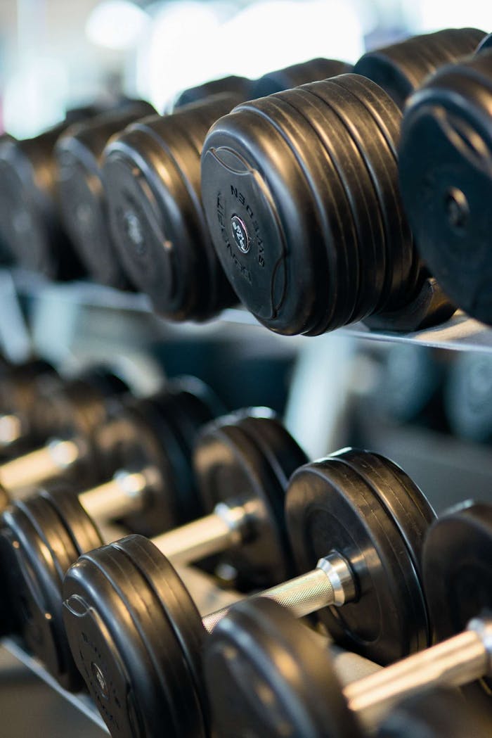 pexels-photo-260352 Close-up view of black dumbbells neatly arranged on a rack in a gym.